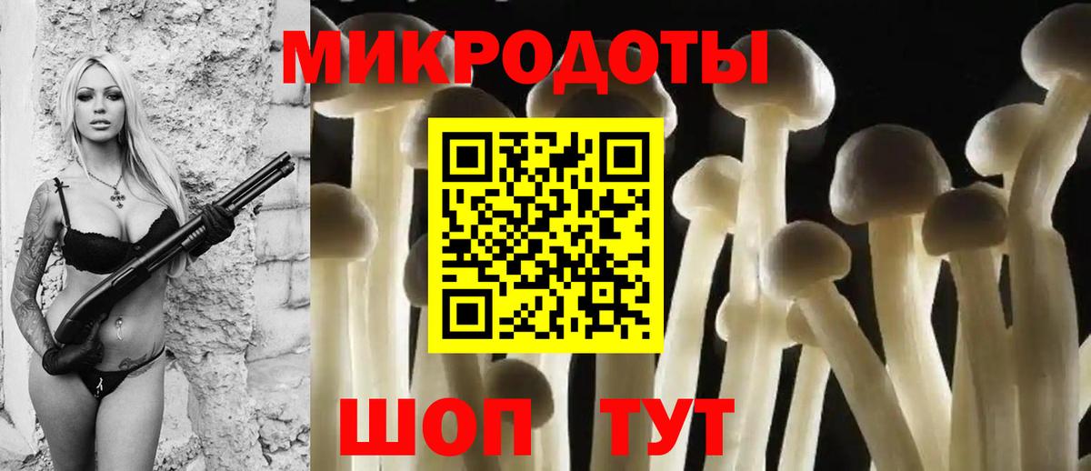 Псилоцибиновые грибы Psilocybe Партизанск