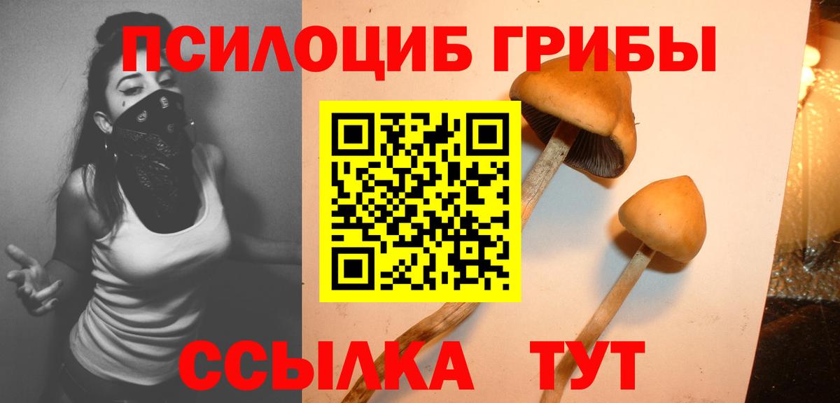 Псилоцибиновые грибы Cubensis  Вход с VPN  Партизанск 